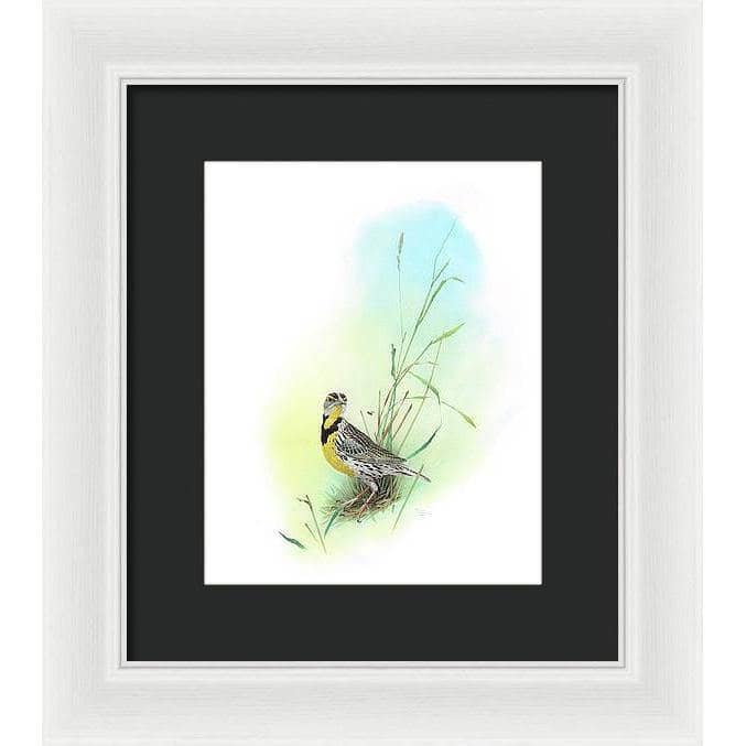 Meadow Lark - Framed Print | Artwork by Glen Loates