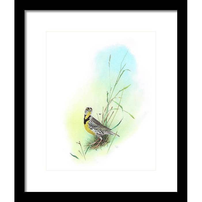 Meadow Lark - Framed Print | Artwork by Glen Loates