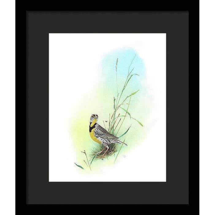 Meadow Lark - Framed Print | Artwork by Glen Loates
