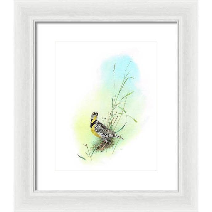 Meadow Lark - Framed Print | Artwork by Glen Loates