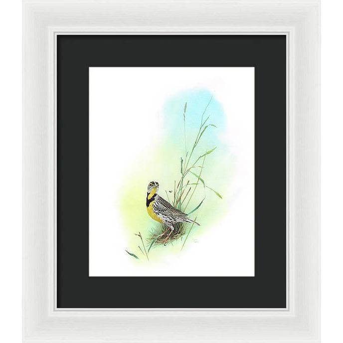 Meadow Lark - Framed Print | Artwork by Glen Loates