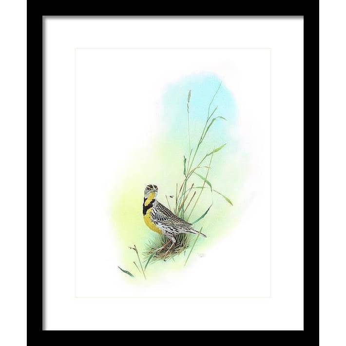 Meadow Lark - Framed Print | Artwork by Glen Loates