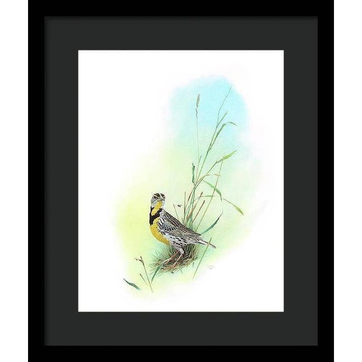 Meadow Lark - Framed Print | Artwork by Glen Loates