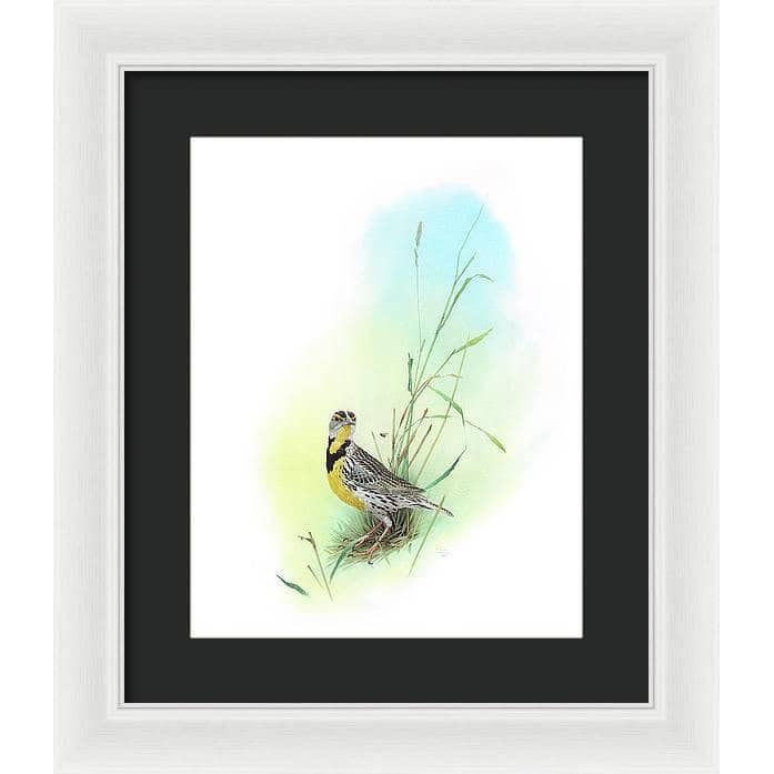 Meadow Lark - Framed Print | Artwork by Glen Loates