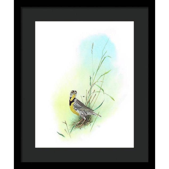 Meadow Lark - Framed Print | Artwork by Glen Loates