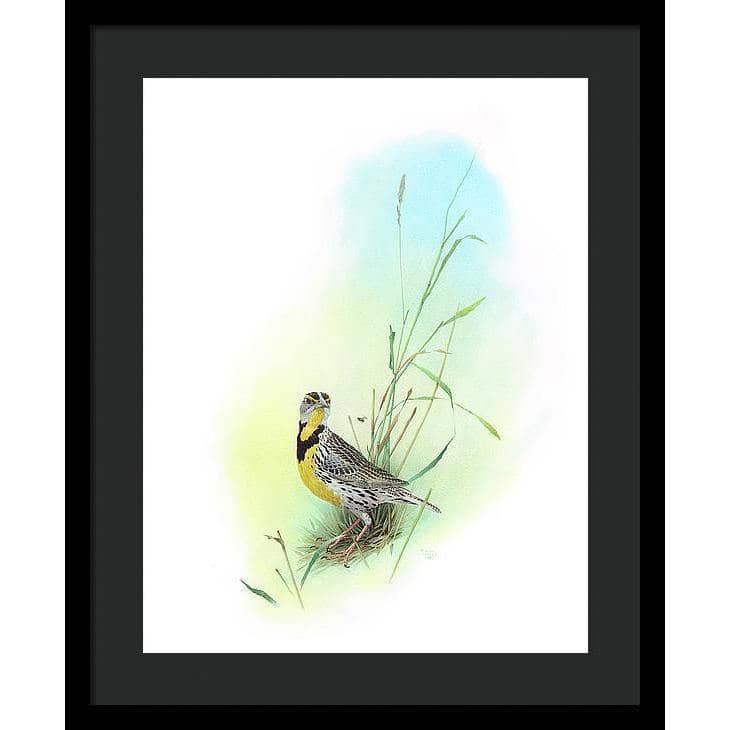 Meadow Lark - Framed Print | Artwork by Glen Loates