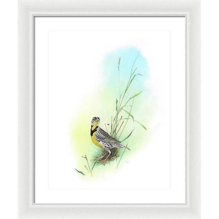 Meadow Lark - Framed Print | Artwork by Glen Loates