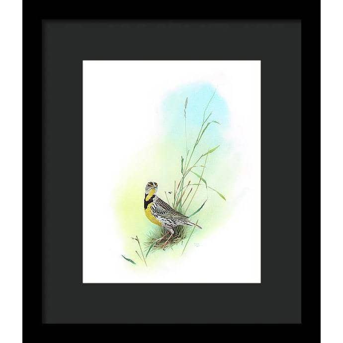 Meadow Lark - Framed Print | Artwork by Glen Loates