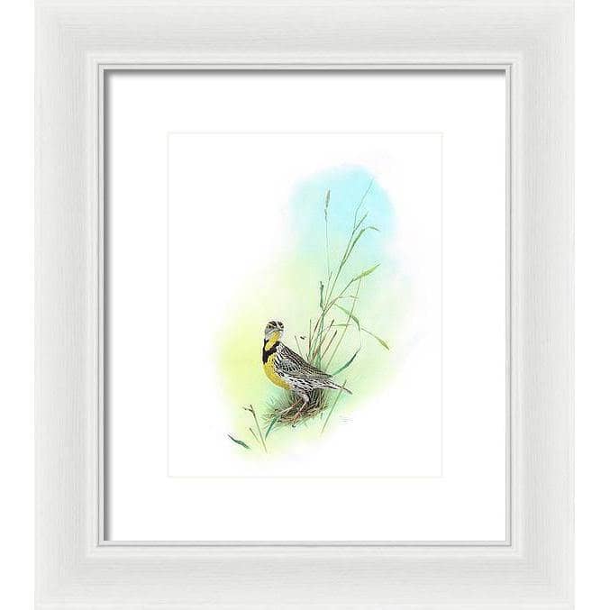 Meadow Lark - Framed Print | Artwork by Glen Loates