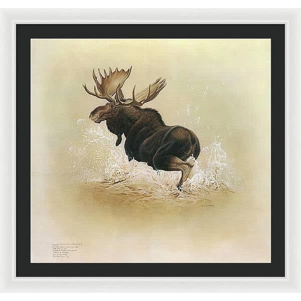 Moose - Framed Print | Artwork by Glen Loates