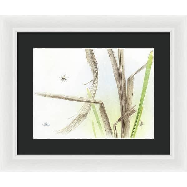 Mosquitoes - Framed Print | Artwork by Glen Loates
