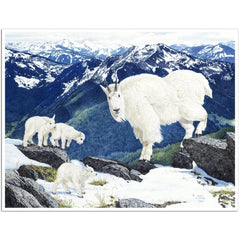Giclée on Paper