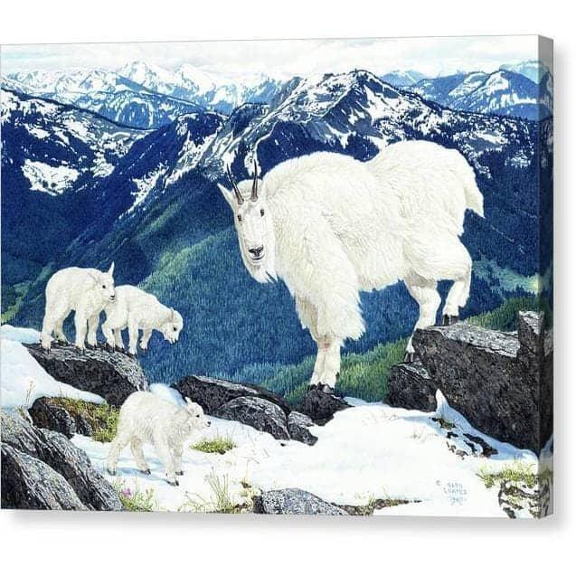 Mountain Goats and Kids - Canvas Print | Artwork by Glen Loates