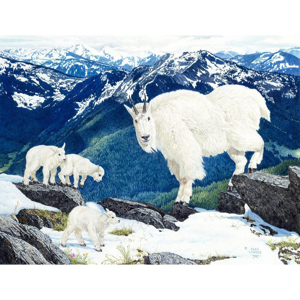 Mountain Goats and Kids - Canvas Print | Artwork by Glen Loates