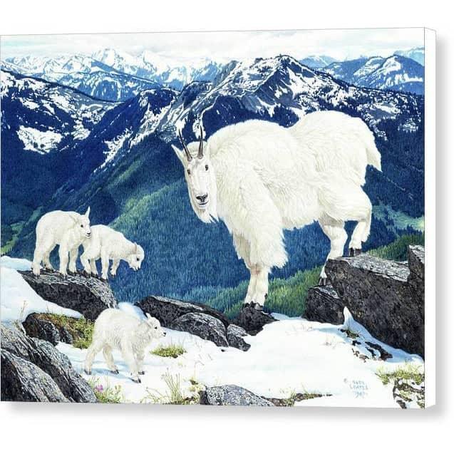 Mountain Goats and Kids - Canvas Print | Artwork by Glen Loates