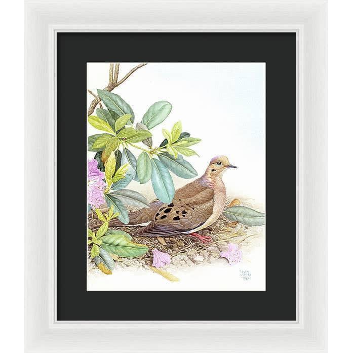 Mourning Dove - Framed Print | Artwork by Glen Loates