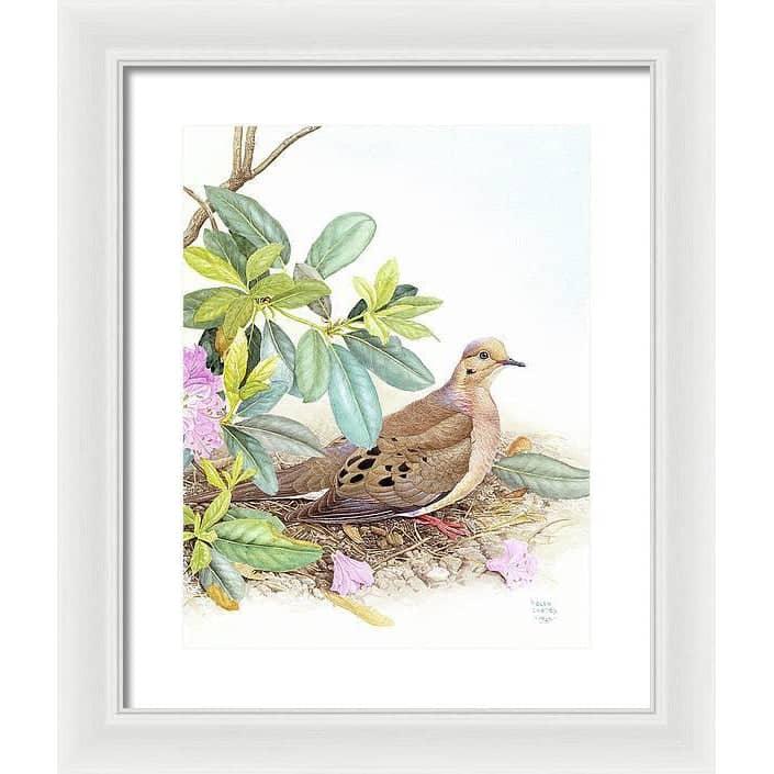 Mourning Dove - Framed Print | Artwork by Glen Loates