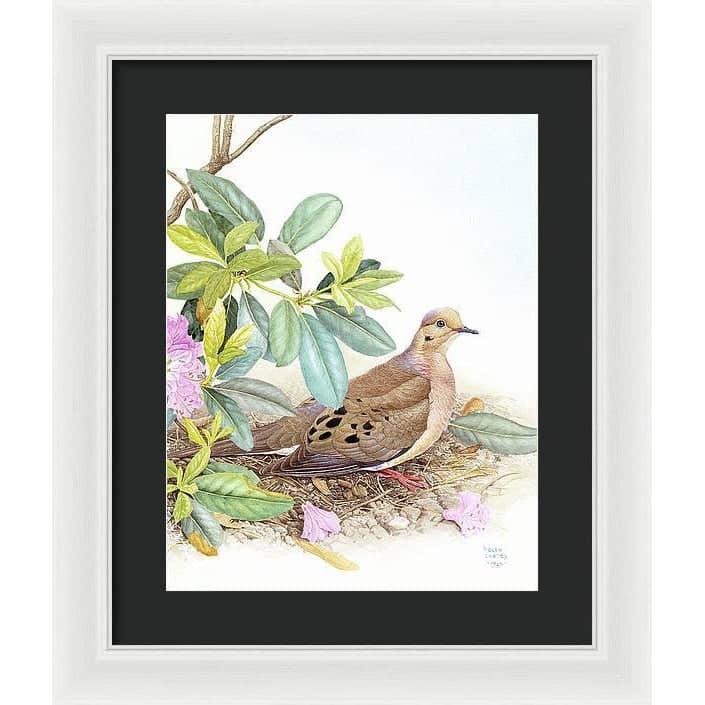 Mourning Dove - Framed Print | Artwork by Glen Loates