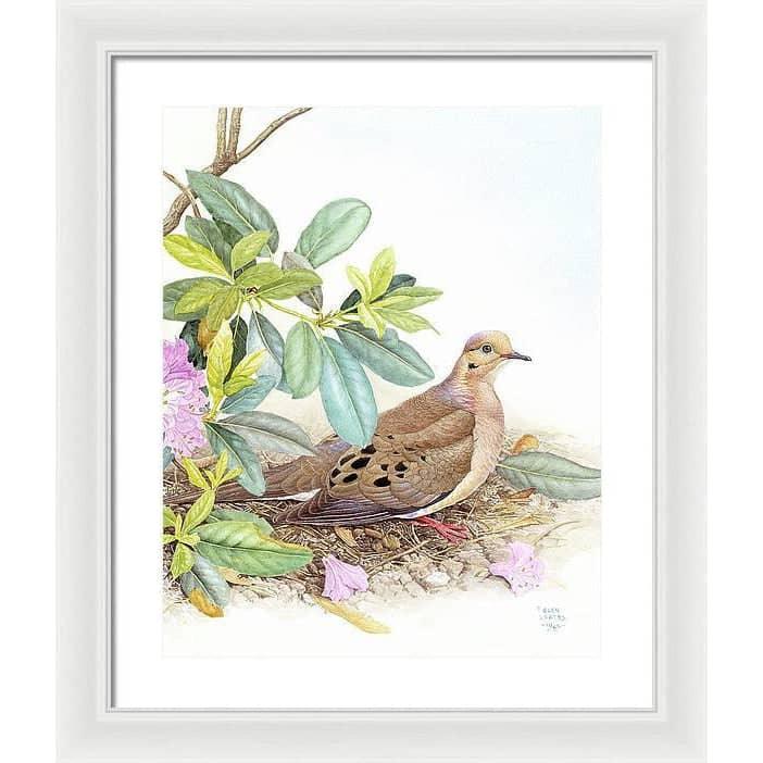 Mourning Dove - Framed Print | Artwork by Glen Loates