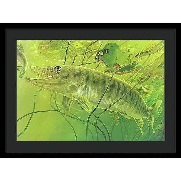 Muskellunge - Framed Print | Artwork by Glen Loates
