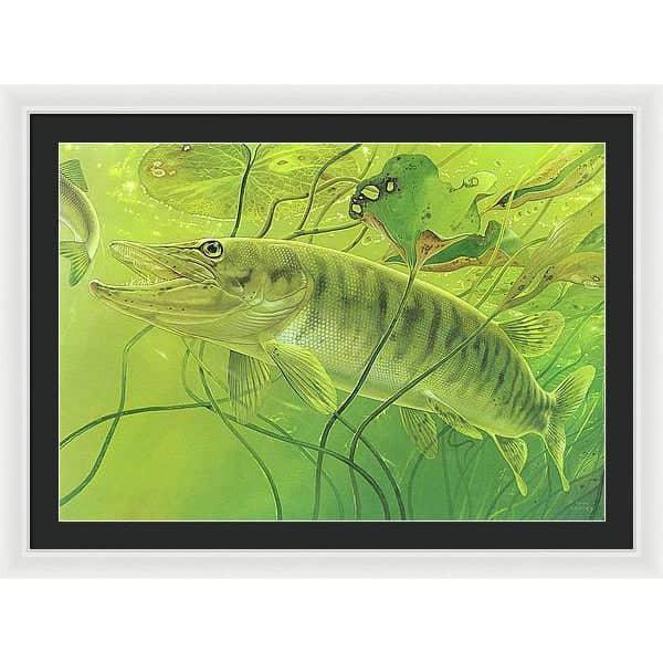 Muskellunge - Framed Print | Artwork by Glen Loates