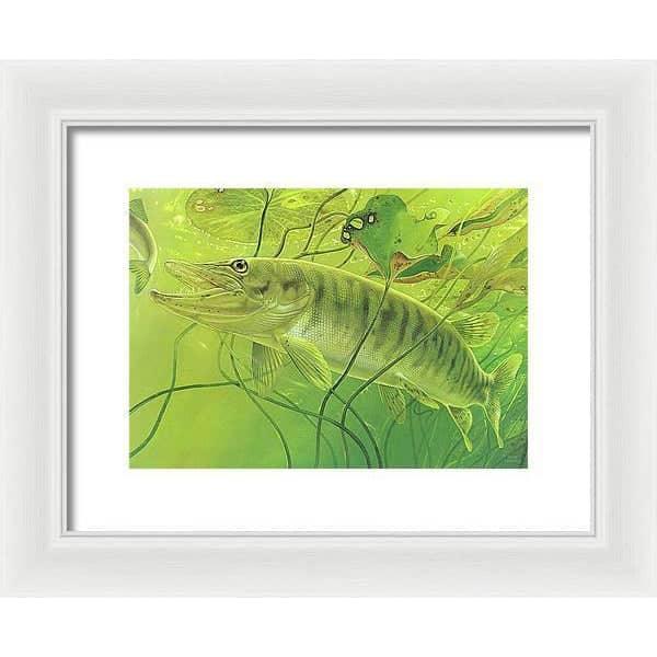 Muskellunge - Framed Print | Artwork by Glen Loates