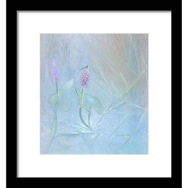 Pickerelweed - Framed Print | Artwork by Glen Loates