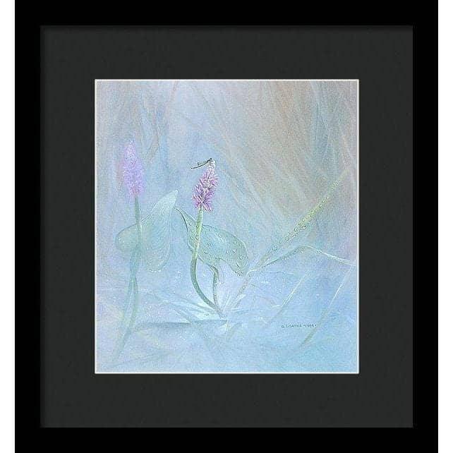 Pickerelweed - Framed Print | Artwork by Glen Loates