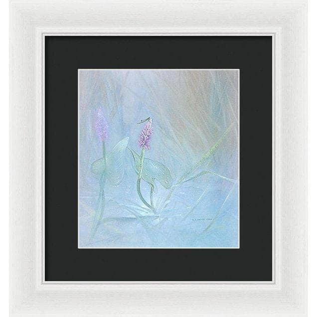Pickerelweed - Framed Print | Artwork by Glen Loates