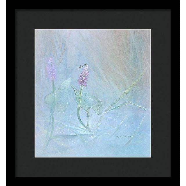 Pickerelweed - Framed Print | Artwork by Glen Loates