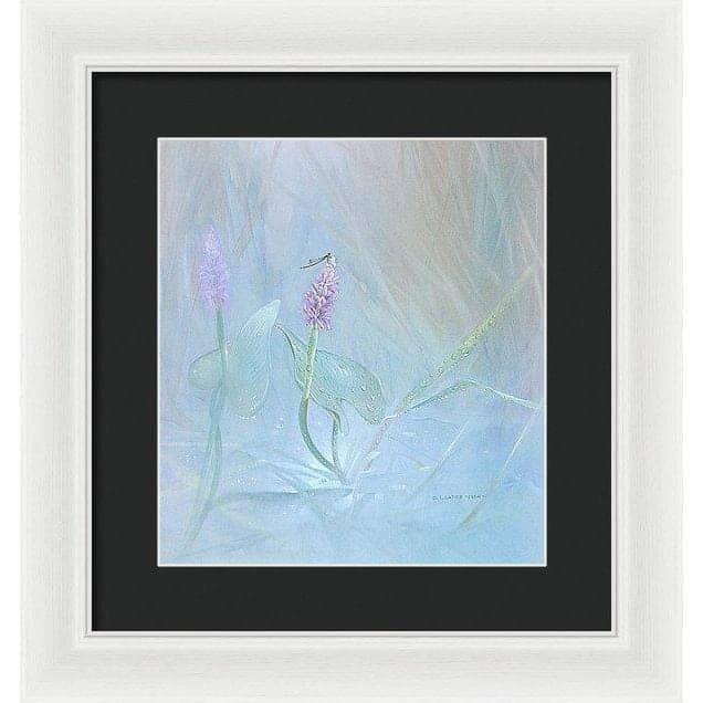 Pickerelweed - Framed Print | Artwork by Glen Loates