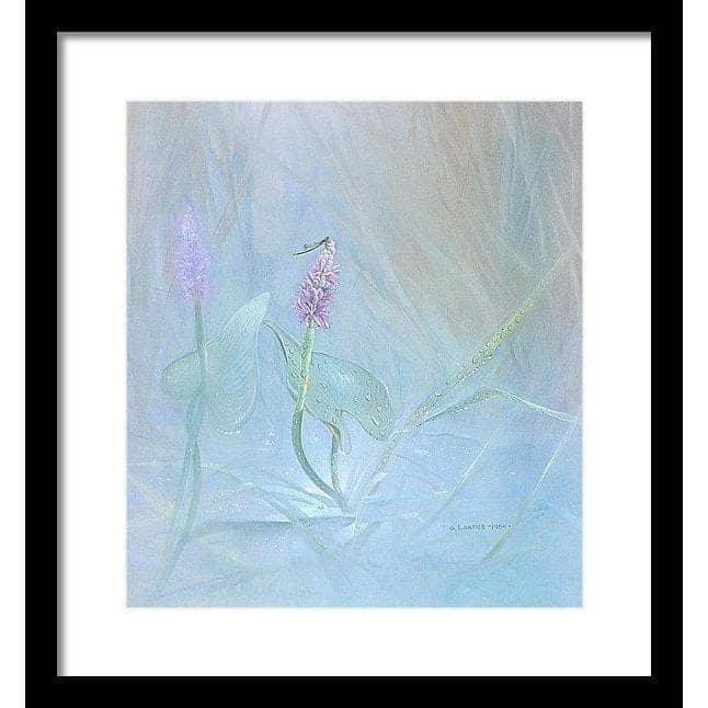 Pickerelweed - Framed Print | Artwork by Glen Loates