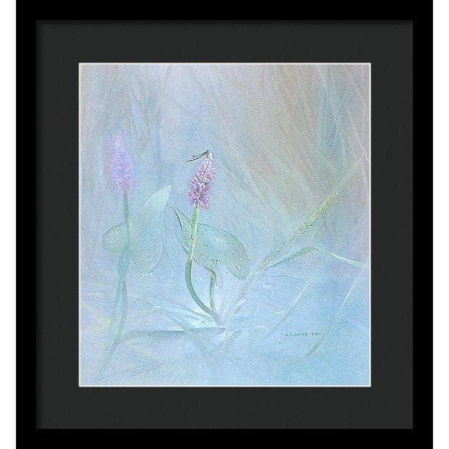 Pickerelweed - Framed Print | Artwork by Glen Loates