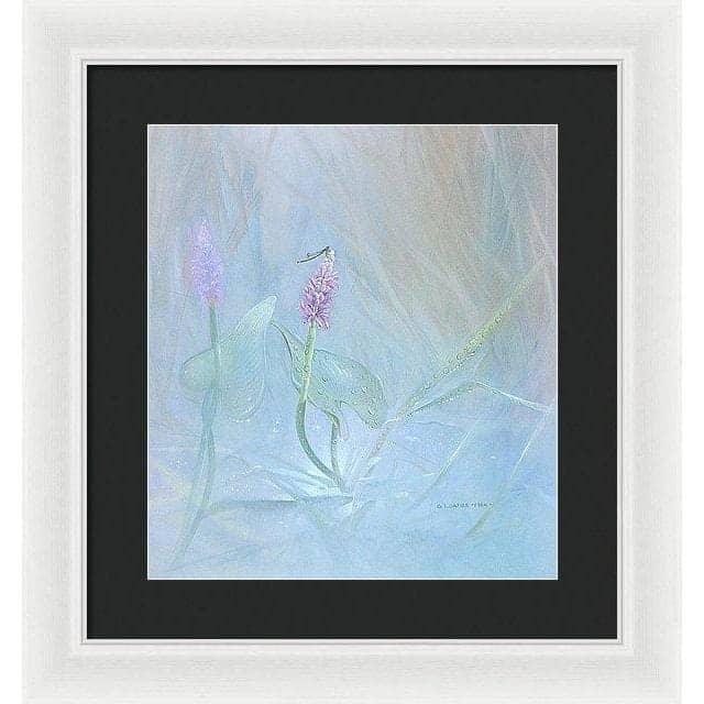 Pickerelweed - Framed Print | Artwork by Glen Loates