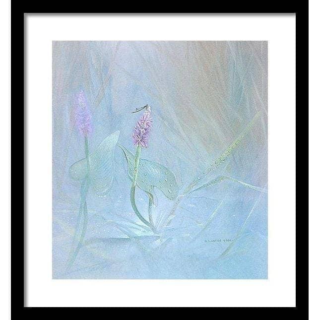 Pickerelweed - Framed Print | Artwork by Glen Loates