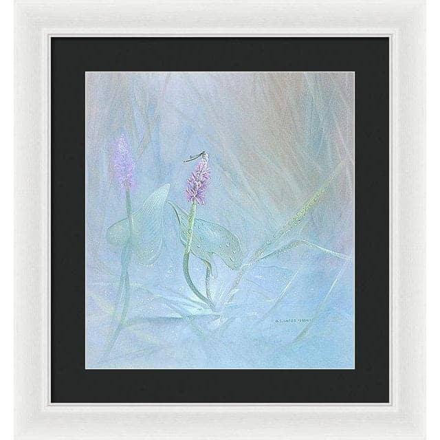 Pickerelweed - Framed Print | Artwork by Glen Loates