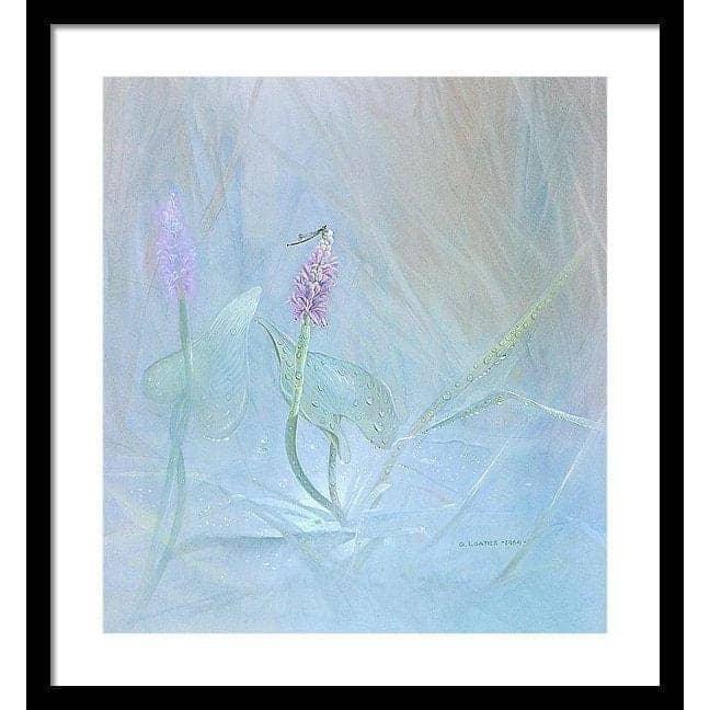 Pickerelweed - Framed Print | Artwork by Glen Loates