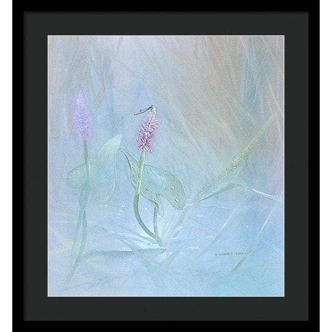 Pickerelweed - Framed Print | Artwork by Glen Loates