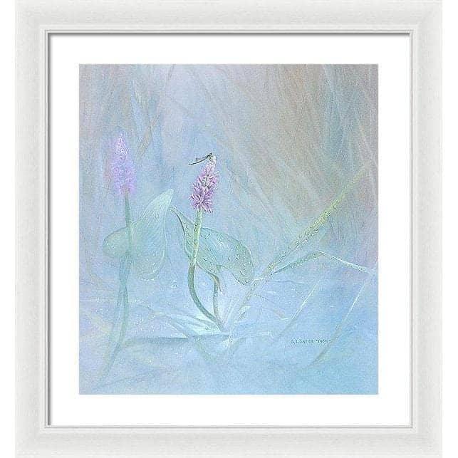 Pickerelweed - Framed Print | Artwork by Glen Loates