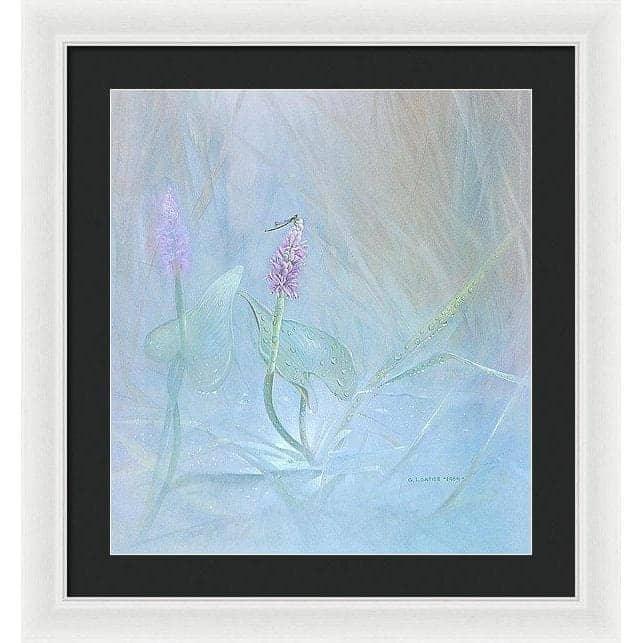 Pickerelweed - Framed Print | Artwork by Glen Loates