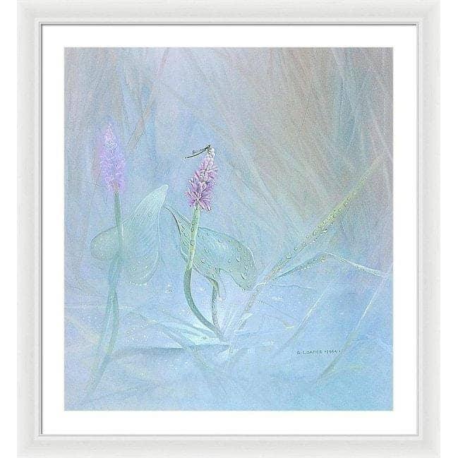 Pickerelweed - Framed Print | Artwork by Glen Loates