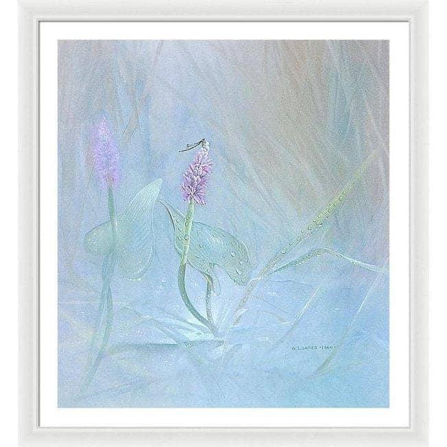 Pickerelweed - Framed Print | Artwork by Glen Loates