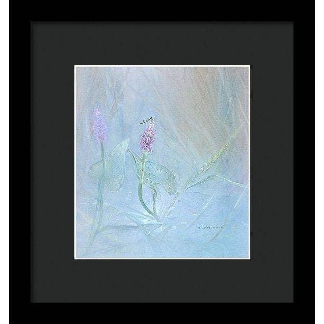 Pickerelweed - Framed Print | Artwork by Glen Loates