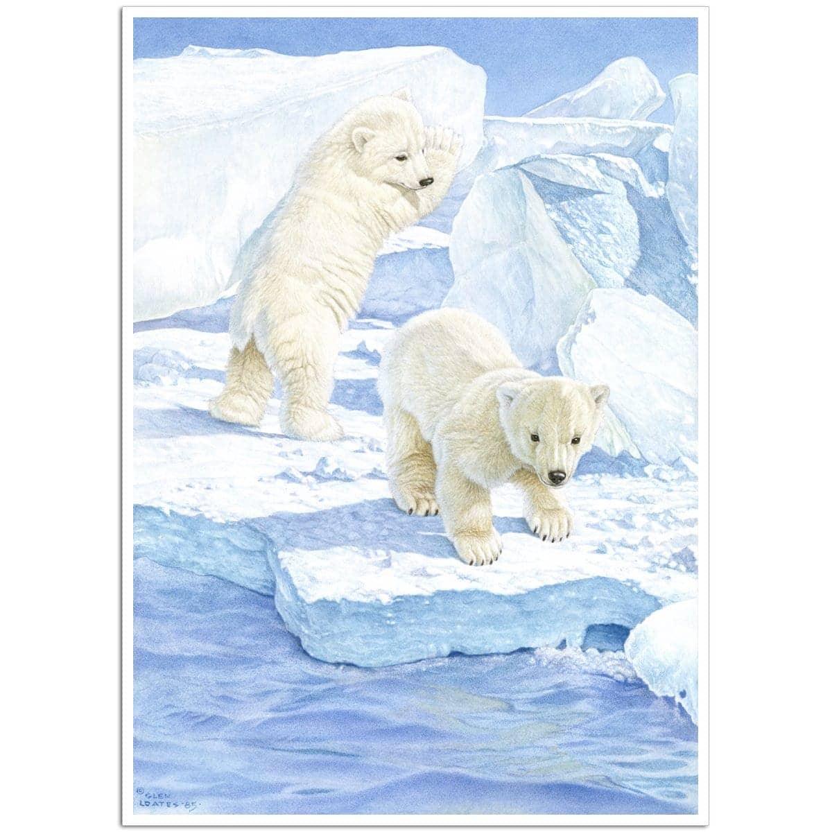 Polar Bear Cubs - Art Print | Artwork by Glen Loates