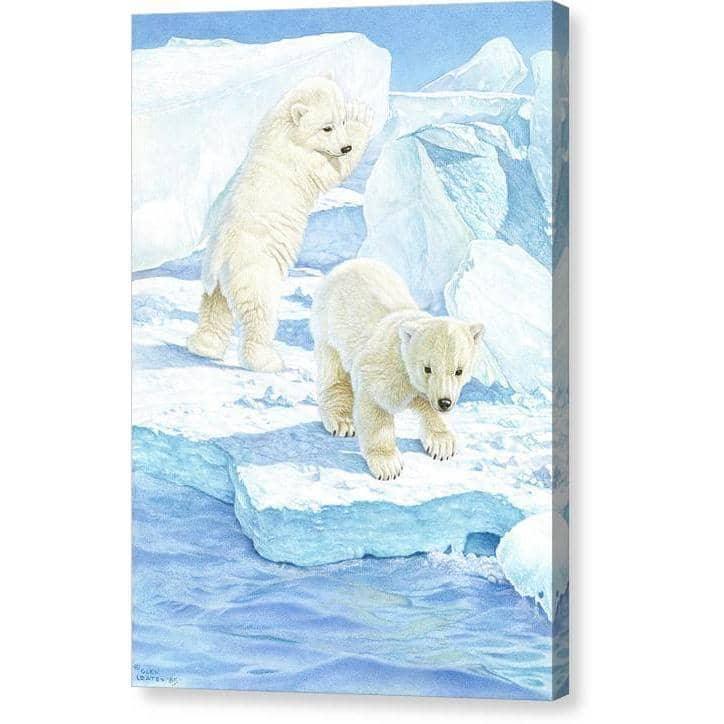 Polar Bear Cubs - Canvas Print | Artwork by Glen Loates