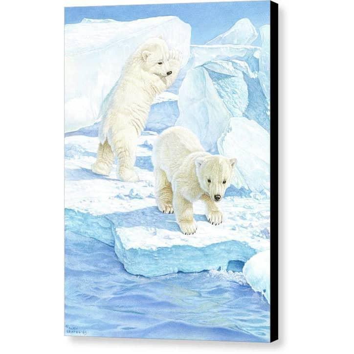 Polar Bear Cubs - Canvas Print | Artwork by Glen Loates
