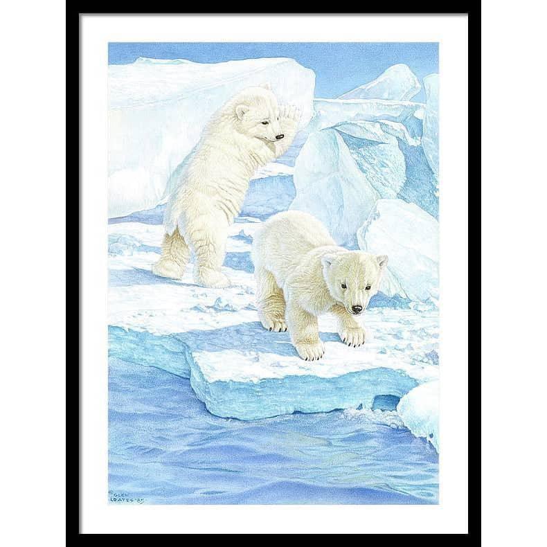 Polar Bear Cubs - Framed Print | Artwork by Glen Loates