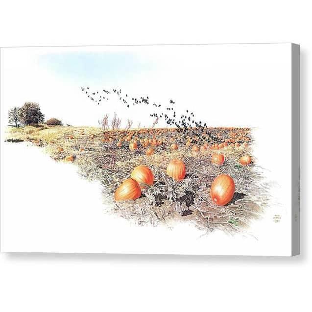Pumpkin Patch - Canvas Print | Artwork by Glen Loates