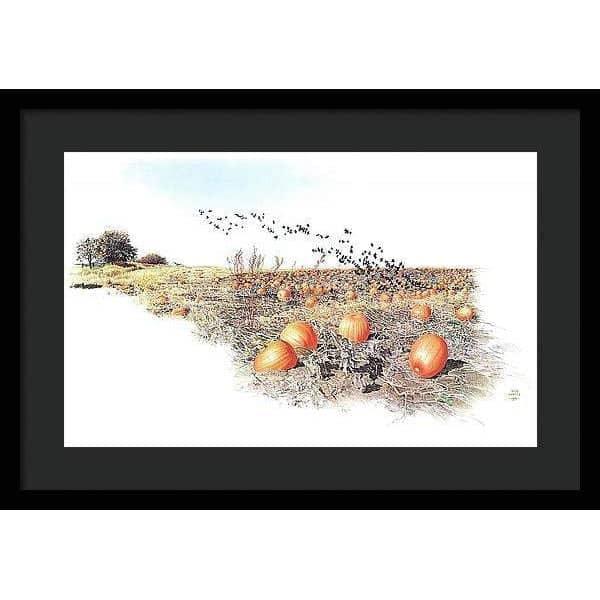 Pumpkin Patch - Framed Print | Artwork by Glen Loates