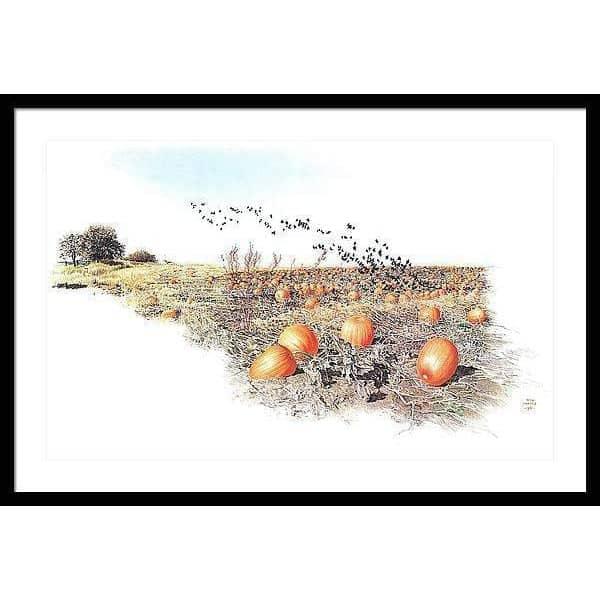 Pumpkin Patch - Framed Print | Artwork by Glen Loates
